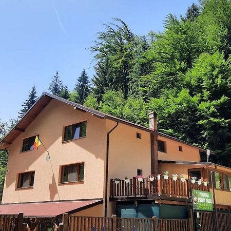 Izvorul Maleii Hotel Petrilla Kültér fotó