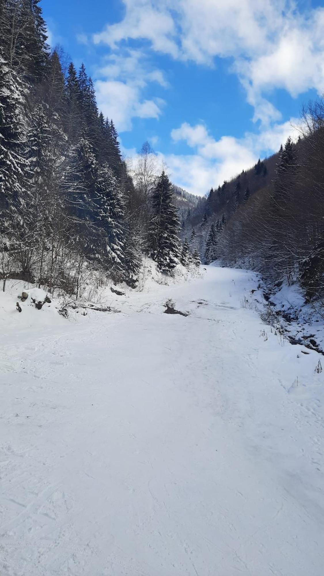 Izvorul Maleii Hotel Petrilla Kültér fotó