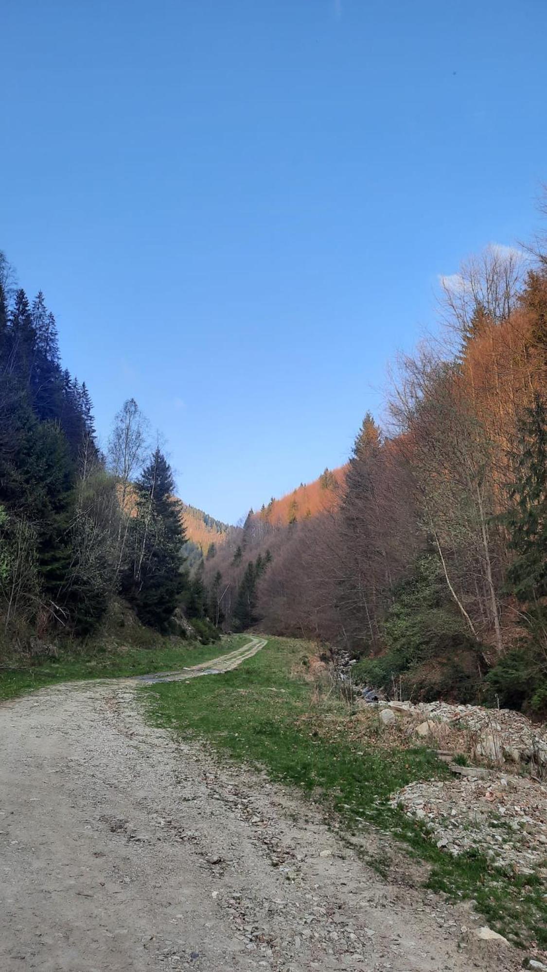 Izvorul Maleii Hotel Petrilla Kültér fotó