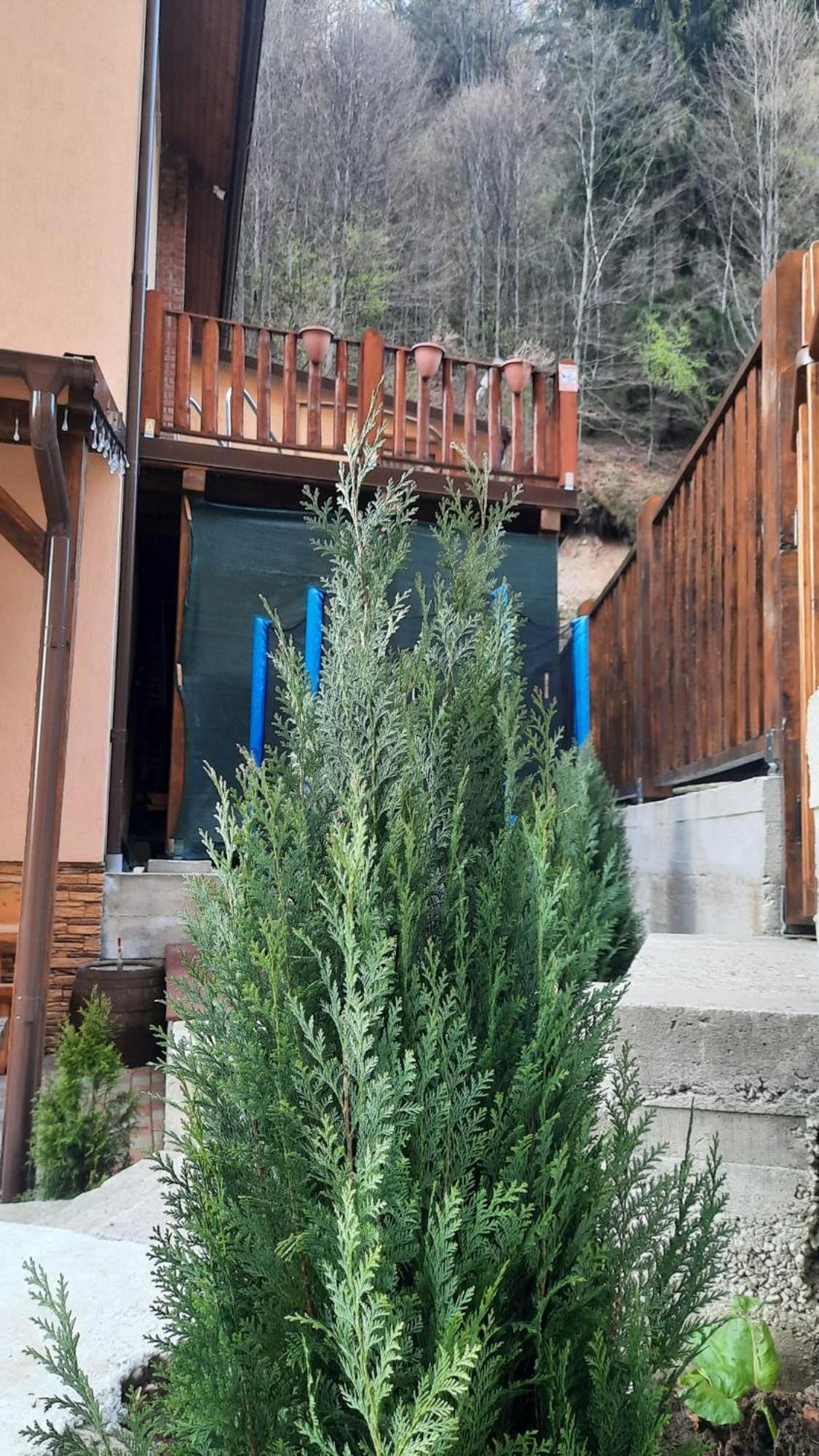 Izvorul Maleii Hotel Petrilla Kültér fotó