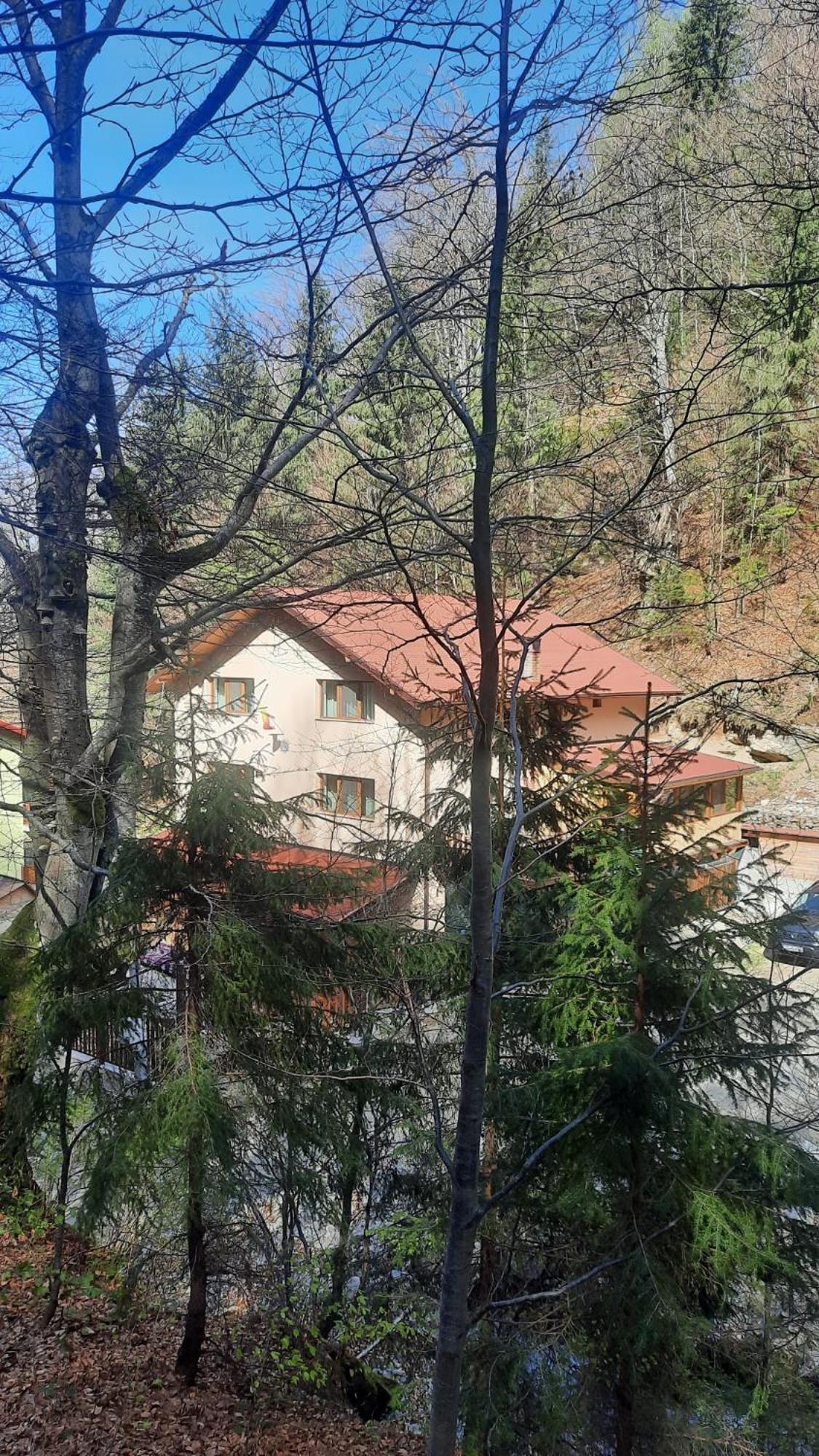 Izvorul Maleii Hotel Petrilla Kültér fotó